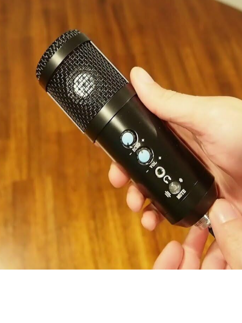 Condenser Microphone